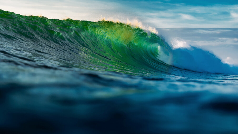   Фото: Shutterstock