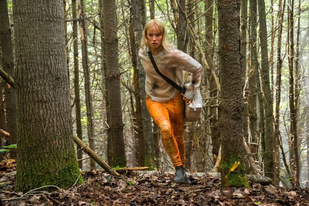 Из открытых источников