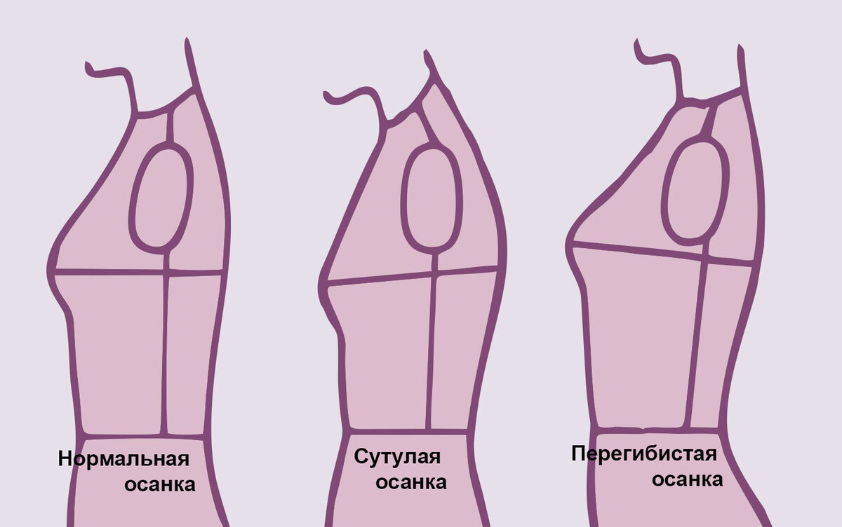 Энциклопедия ростка. Все про построение идеальной выкройки вязаной вещи по  фигуре. | Первый вязальный! | Дзен