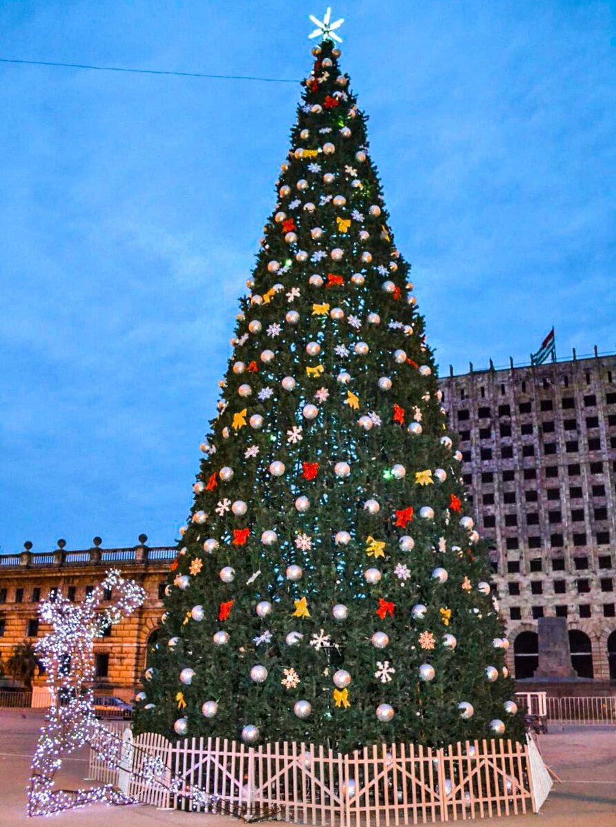 Наша первая ёлка в Сухуме