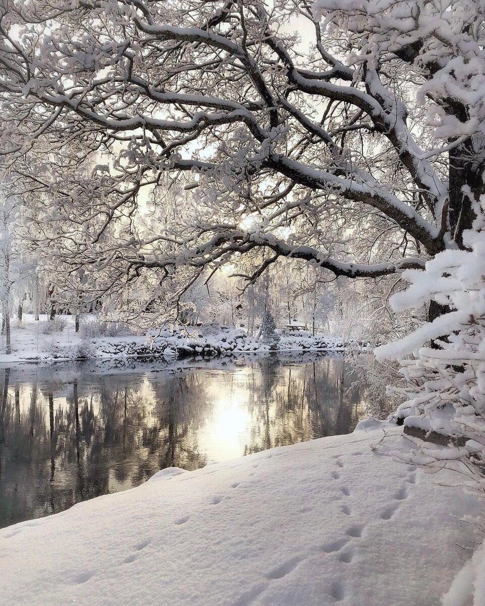 С просторов интернета 