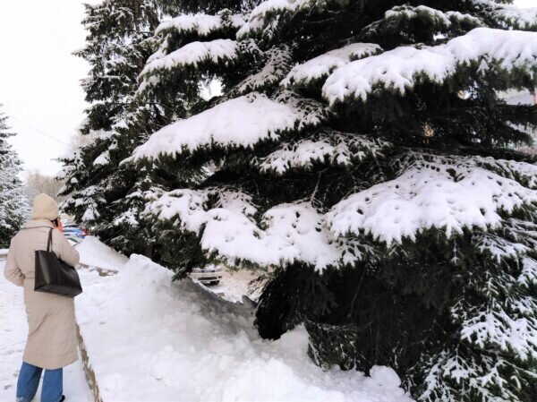    Фото: Екатерина Иванова. UG.RU