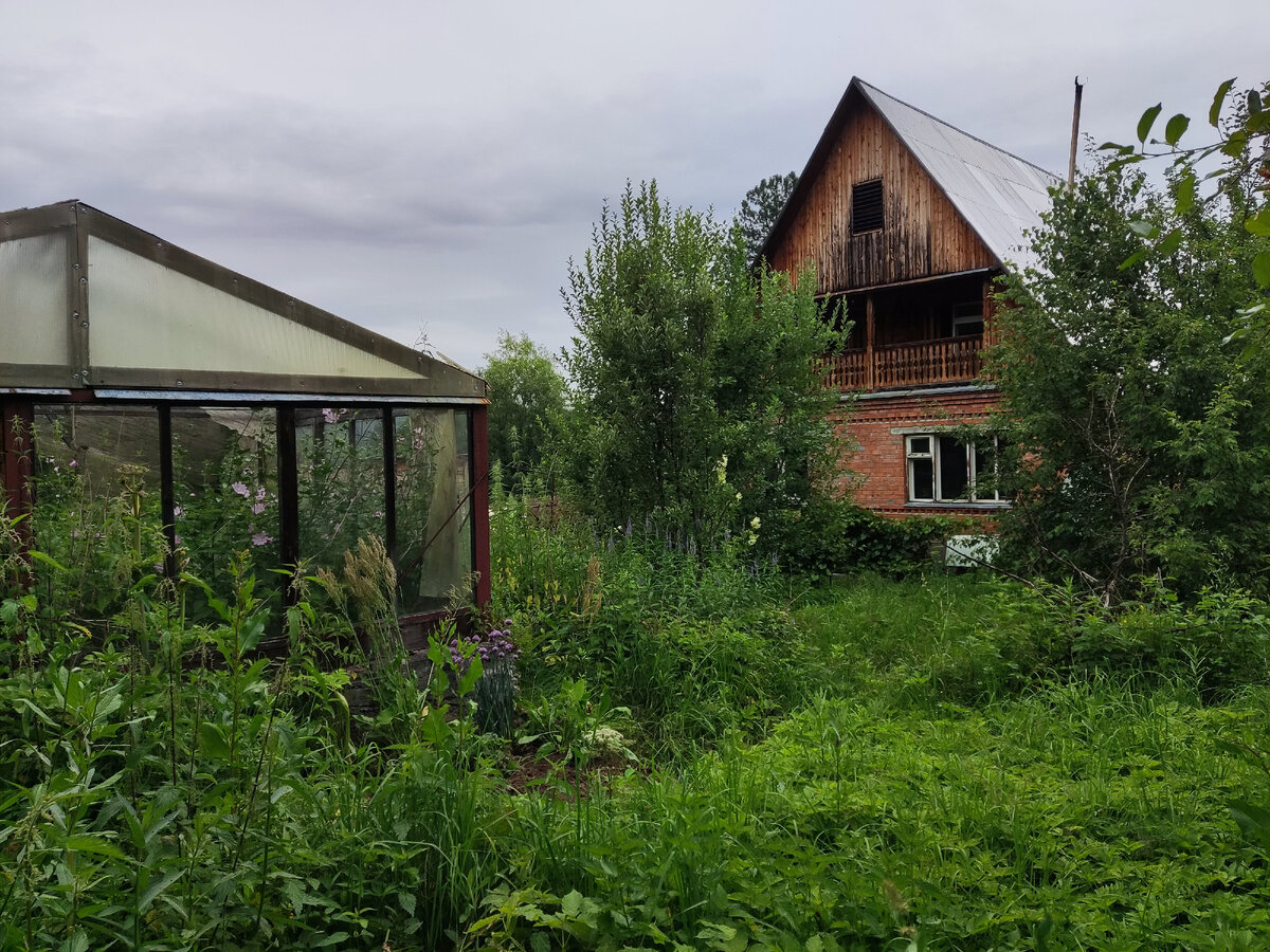 Летнее фото - все заросло, но дикий лук прикопала.