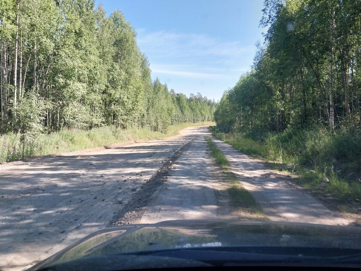 Санкт-Петербург - Архангельск - Петрозаводск. Часть 3: Онега - Каргополь  (начало плохих дорог). | Автотуризм с детьми | Дзен