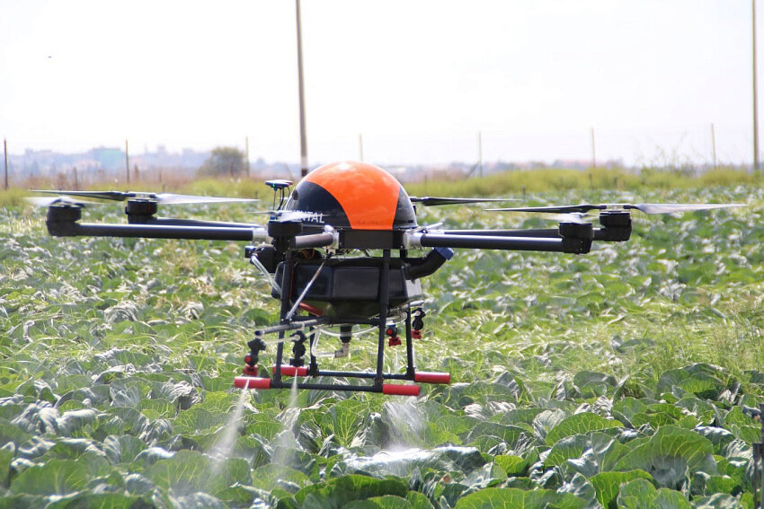 Фото: (с) Agridrones Solutions Israel