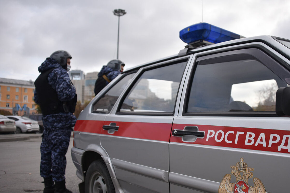 В Брянской области силовики задержали диверсантов.  Фото: Полина Зиновьева