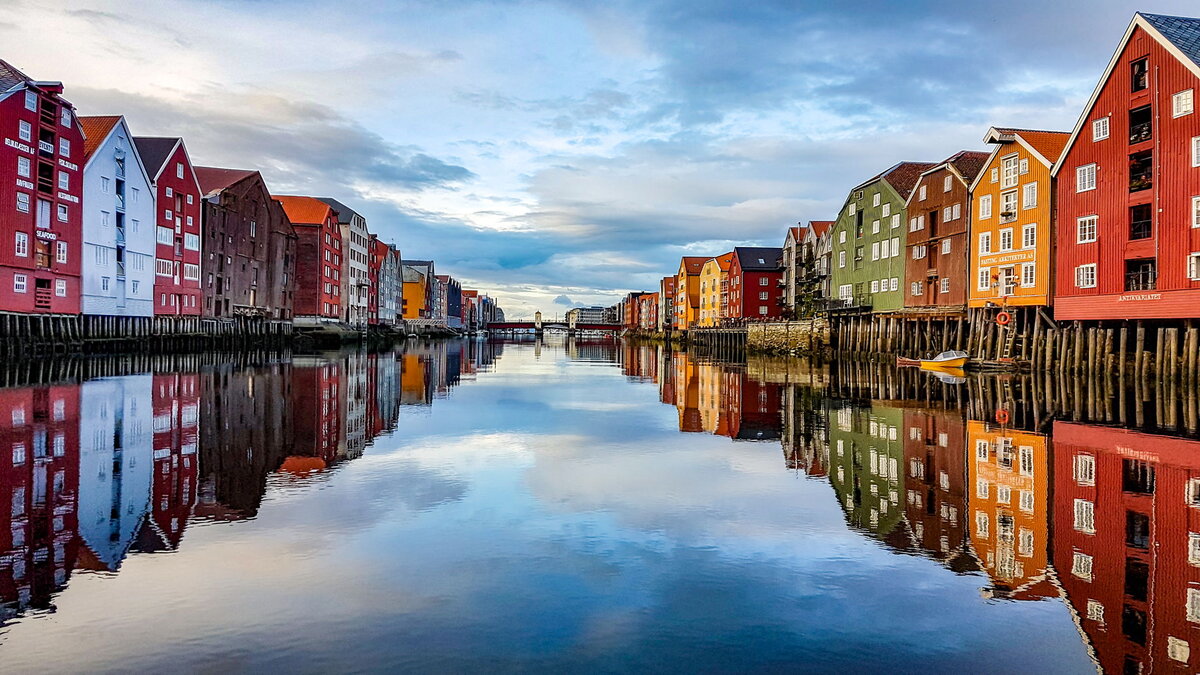 Фото: Shutterstock