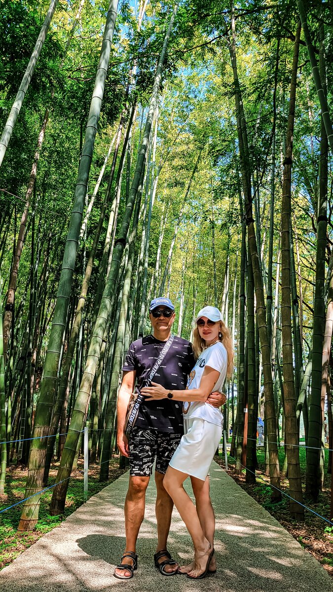 Шикарная бамбуковая аллея, которая пользуется большой популярностью. Чтобы сделать на ней фото без людей, нужно иметь большое мастерство. )))