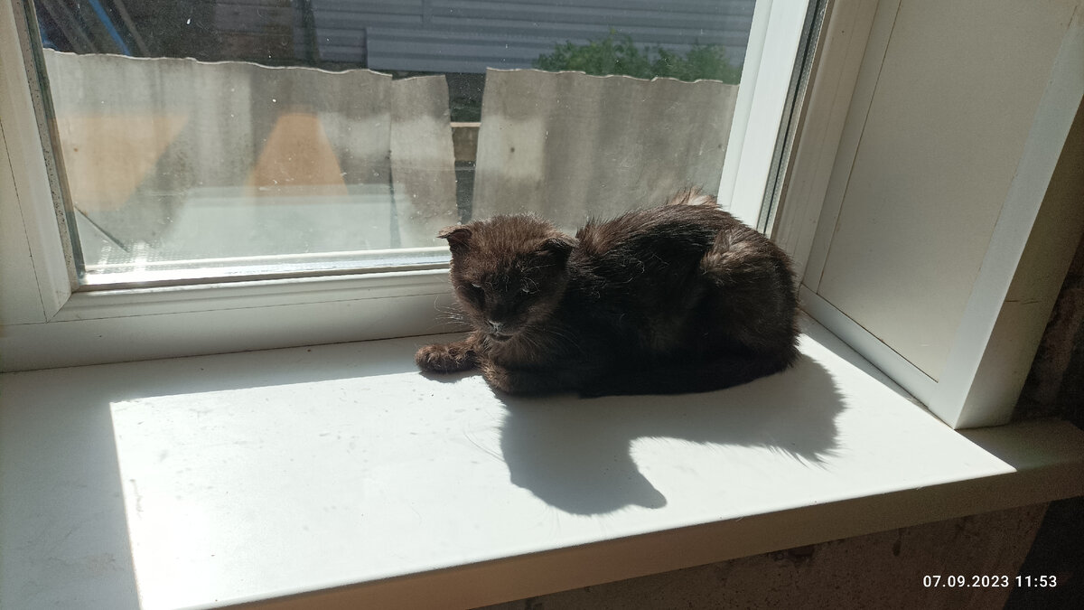 Клякса