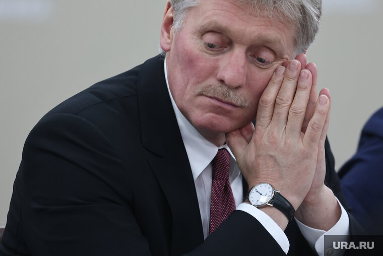    Дмитрий Песков прокомментировал визит Ким Чен Ына в РФ