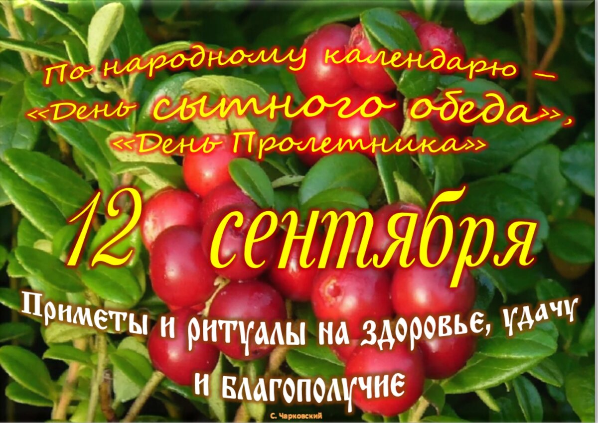 Встречаем новый день