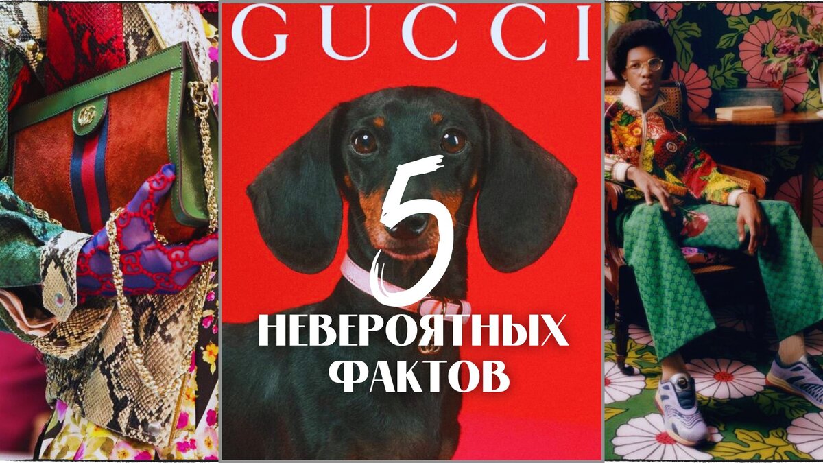 ОП-5 невероятных фактов из истории Gucci, которые сделают тебя экспертом в мире моды