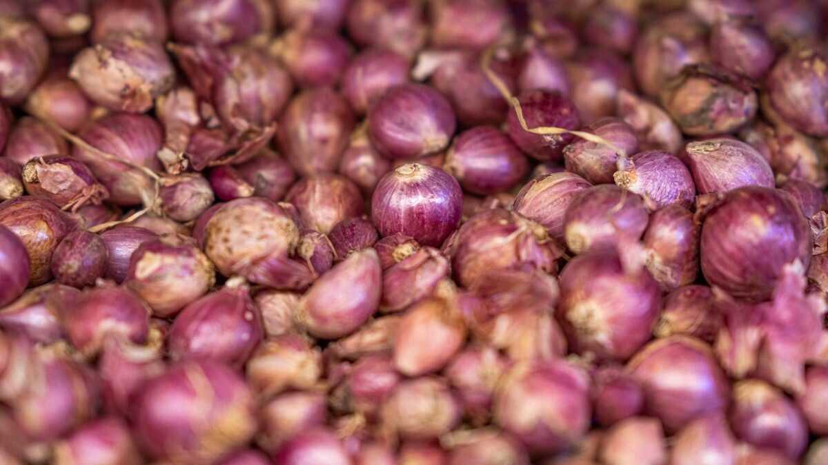    Фото: unsplash Август Макаров