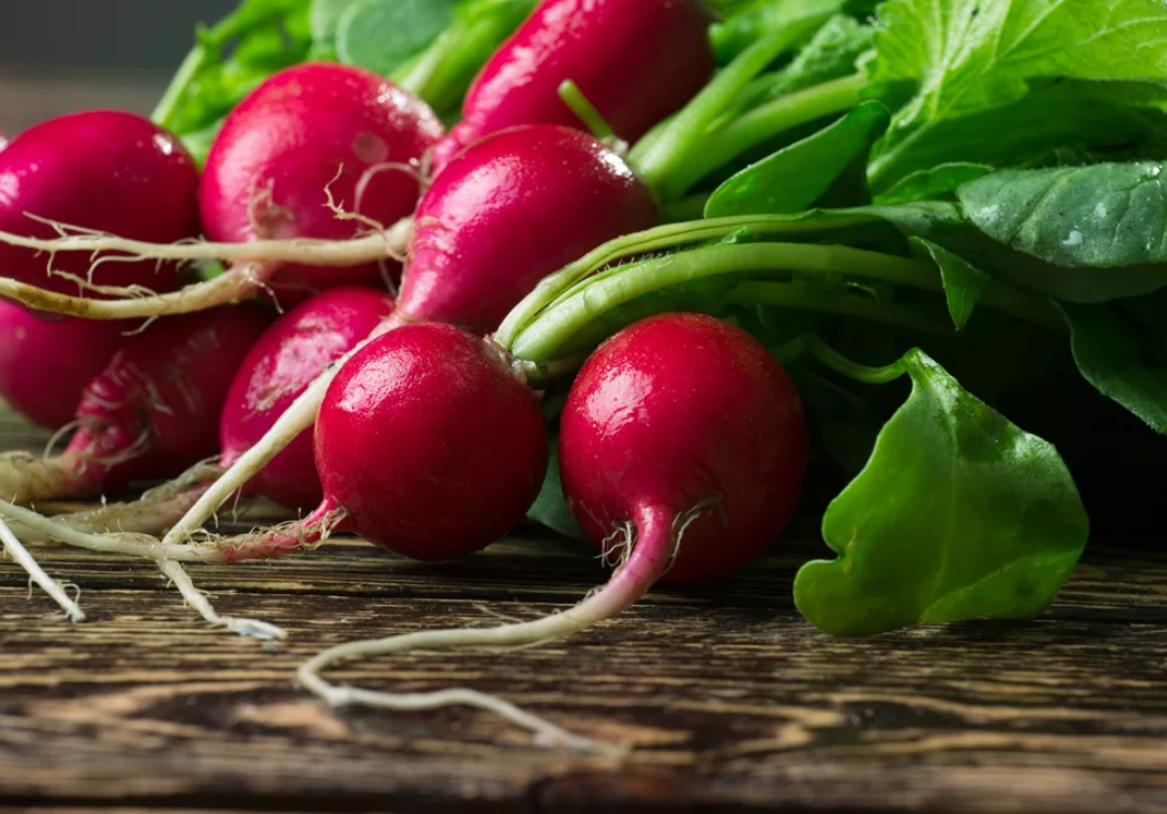 редис можно сажать в августе