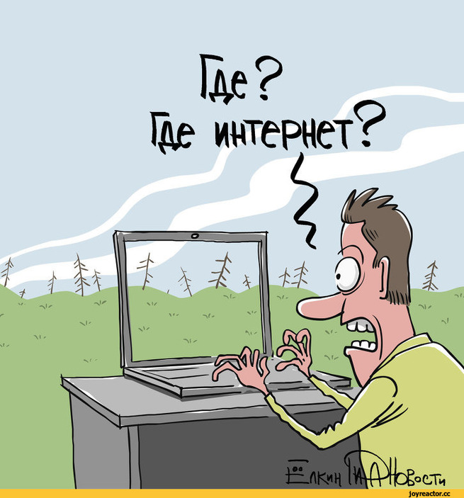 Фото взято из открытых источников