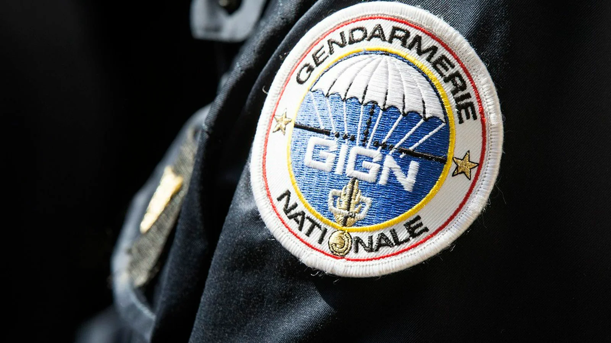 Значок GIGN на руке одного из членов отряда, 13 мая 2014 | REUTERS/Charles Platiau