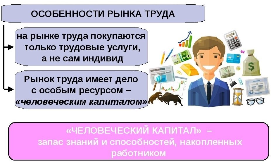 План на тему человек на рынке труда