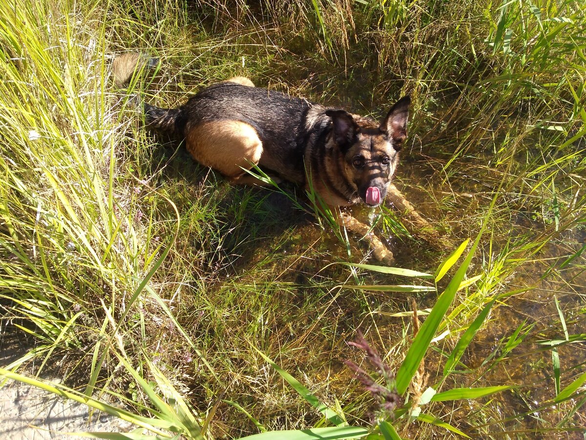 Я тут пока полежу. Ты же не против?