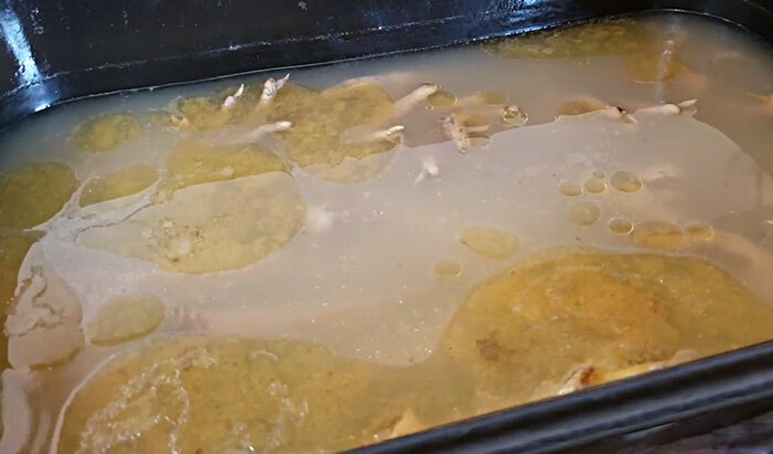 Подобие китайского холодца в Индонезии, только там была еще морковь и зелень