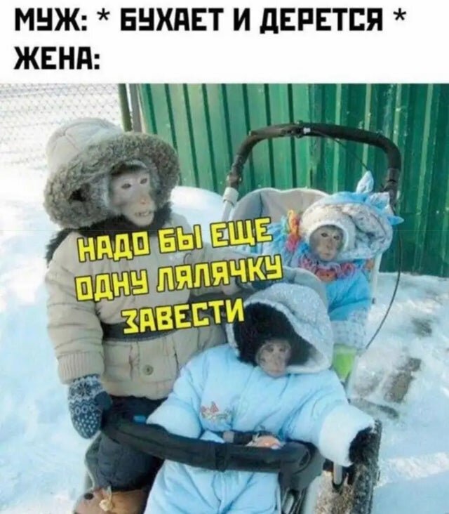 Мем смешной, ситуация страшная...