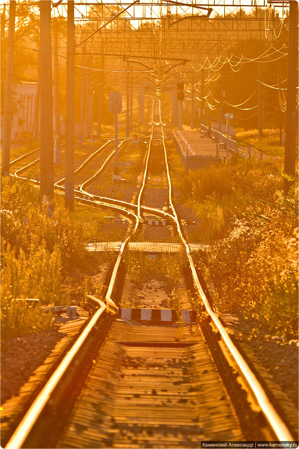 Теплое августовское солнце и пути станции Красноармейск, убегающие вперед.