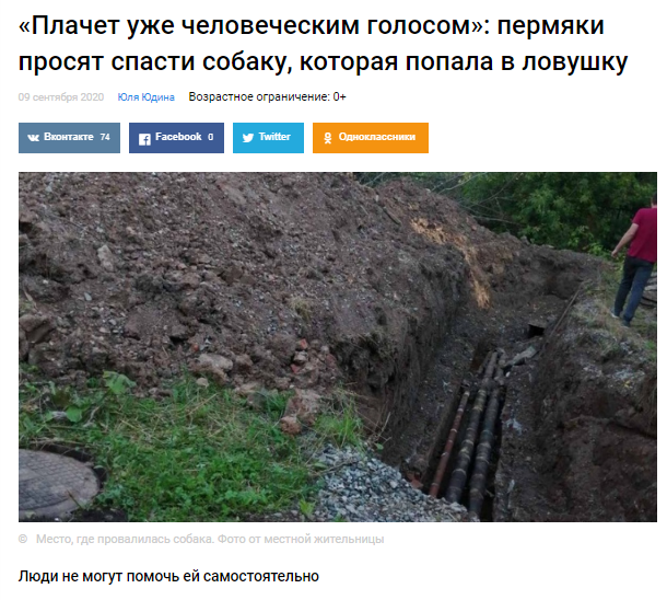 Скриншот с сайта progorod59.ru