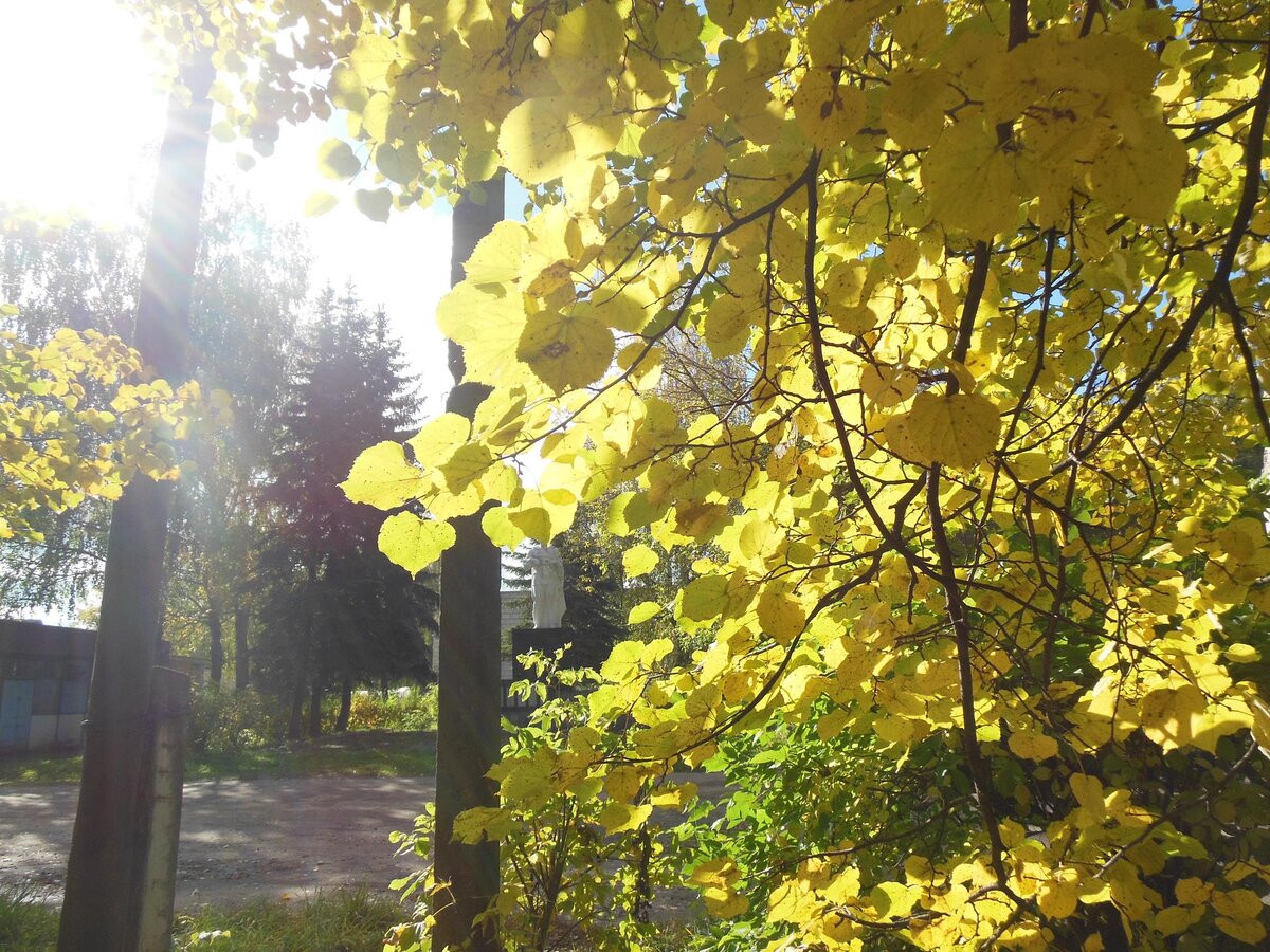 Осень - пора вдохновения и настоящей любви (фото автора)