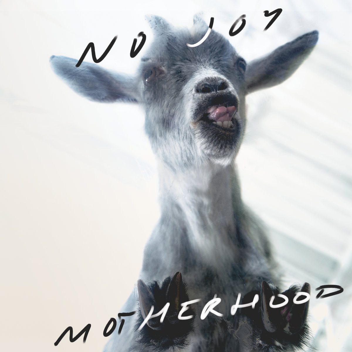 обложка альбома No Joy "Motherhood" 