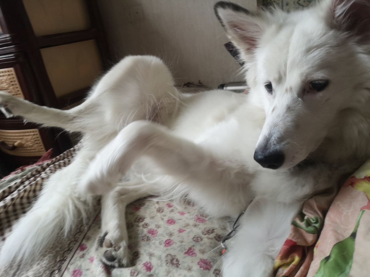 Вот так я просыпаюсь каждое утро