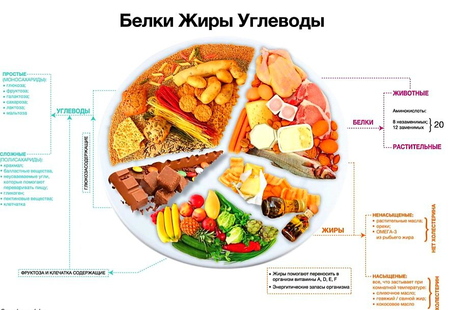 Правильное питание схема приемов пищи