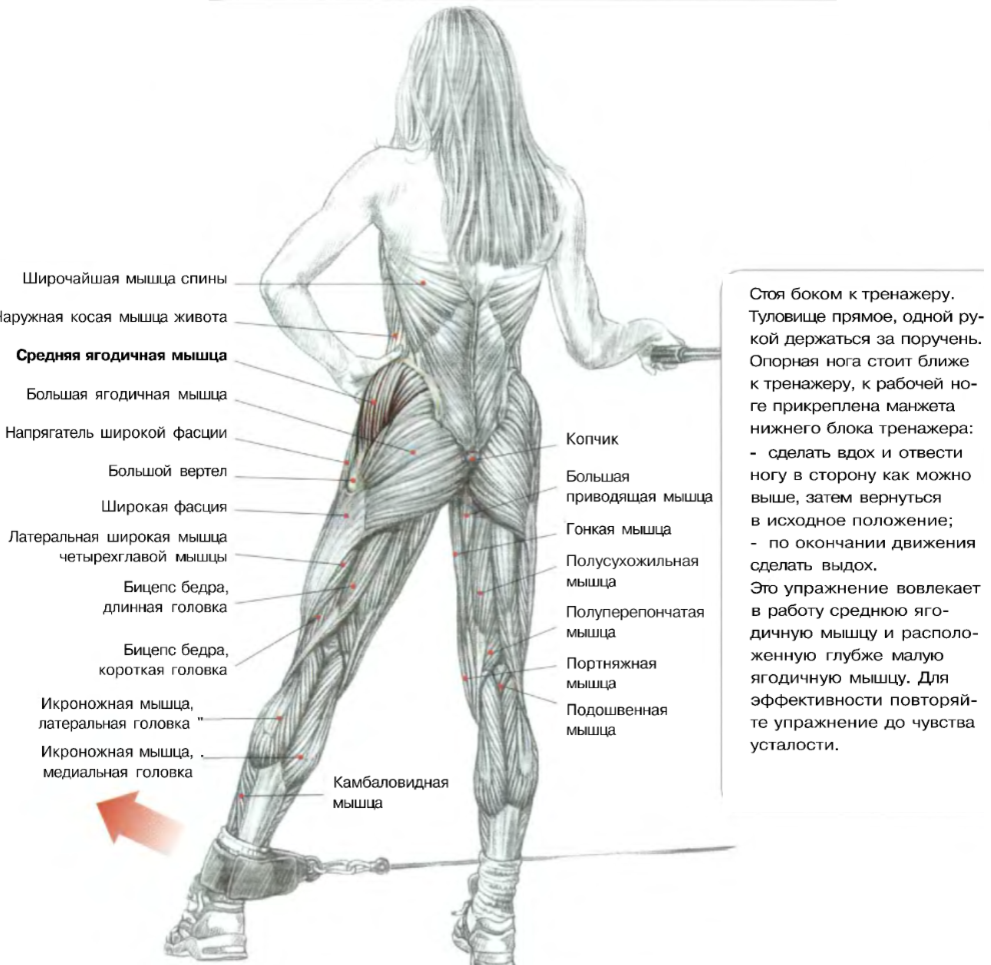 Ягодичные мышцы упражнения. Отведение бедра в кроссовере для средней ягодичной. Строение мышц ягодиц у женщин. Упражнения на среднюю ягодичную мышцу в тренажерном зале. Отведение бедра в сторону в кроссовере.