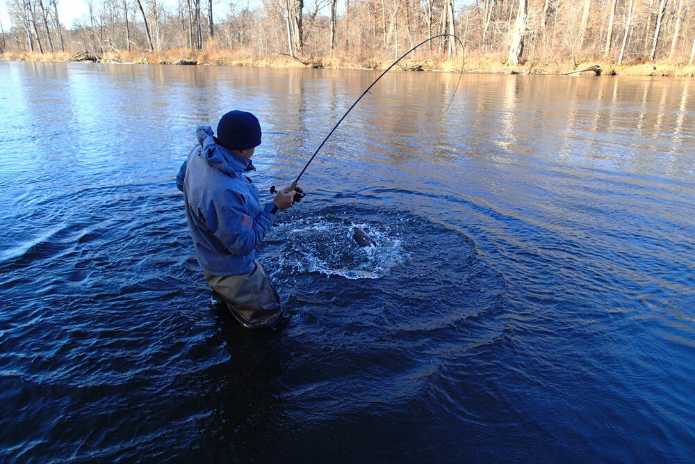 Работа бланка спиннинга при вываживании