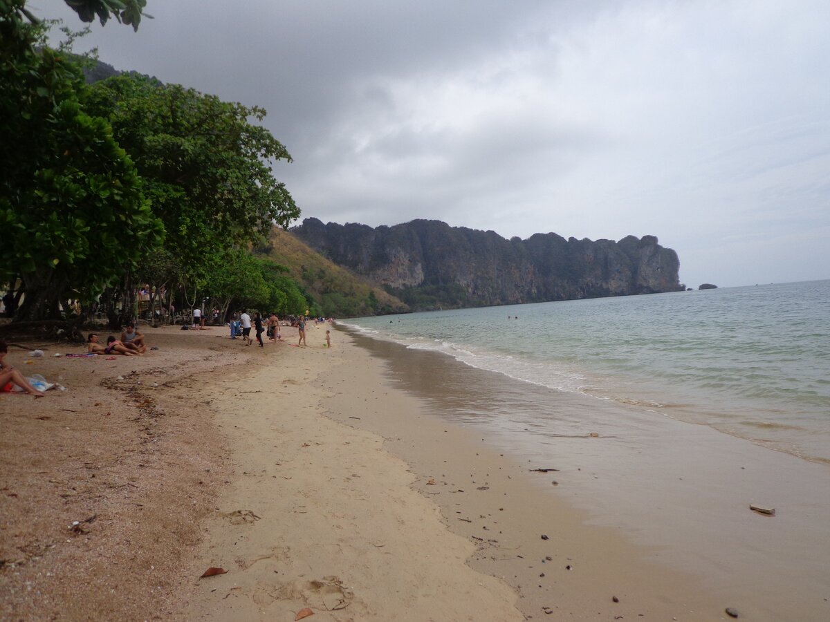 Мы любили лежать вот под этими деревьями