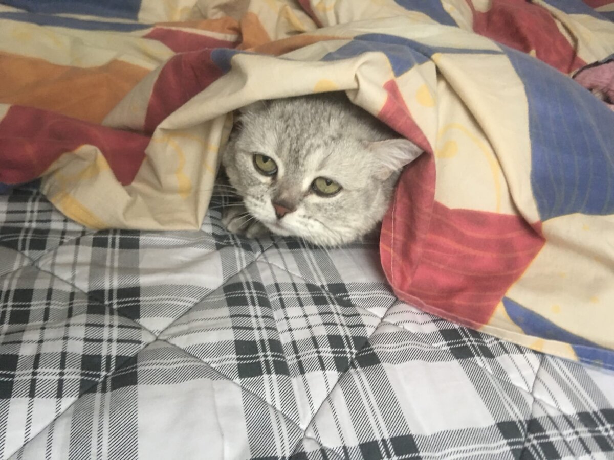 Наша спасительница