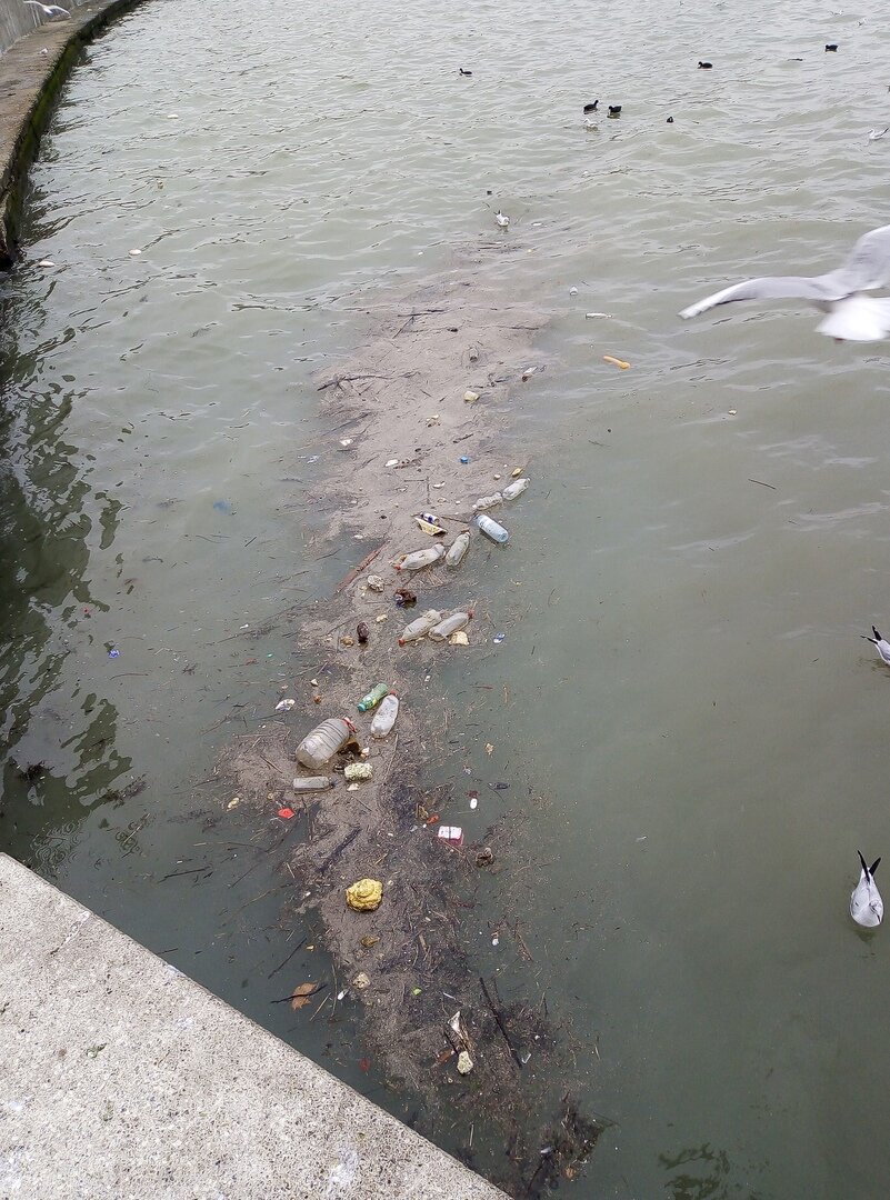 море в Новороссийске 