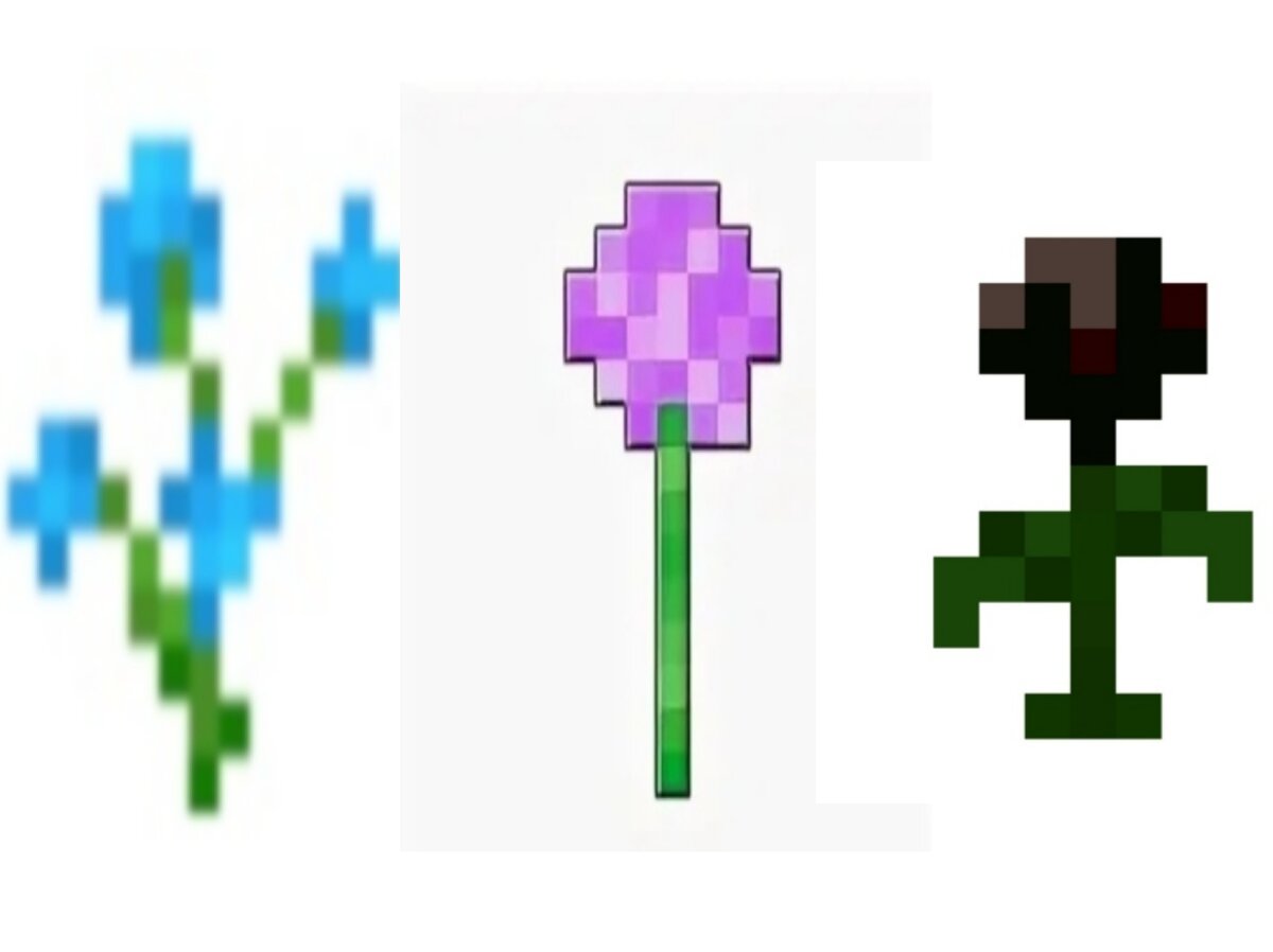 Батл по редкости 