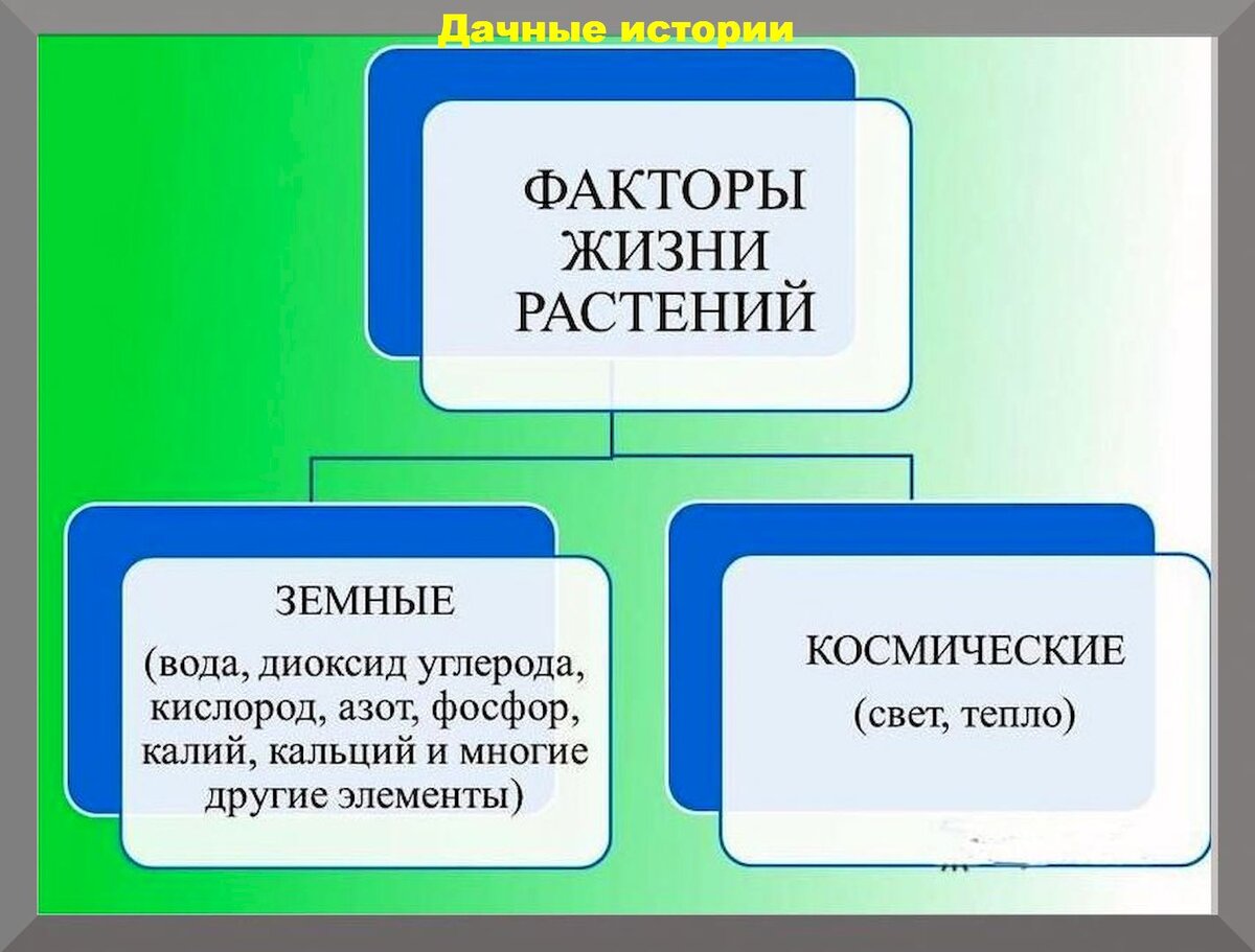 Жизненные факторы. Факторы жизни растений. Факторы жизни растений и законы земледелия. Космические факторы жизни растений. Регулирование факторов жизни растений.