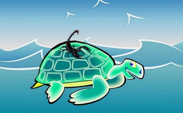 притча о черепахе