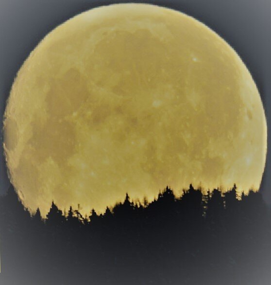 Полнолуние.