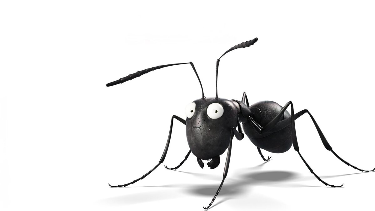 Мой любимый муравей, который получил от меня кличку Свистун