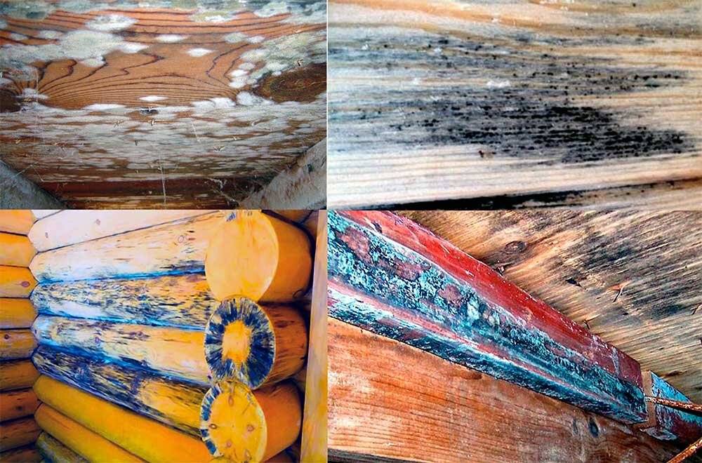Как сохранить деревянную баню на долгие годы. Советы эксперта
