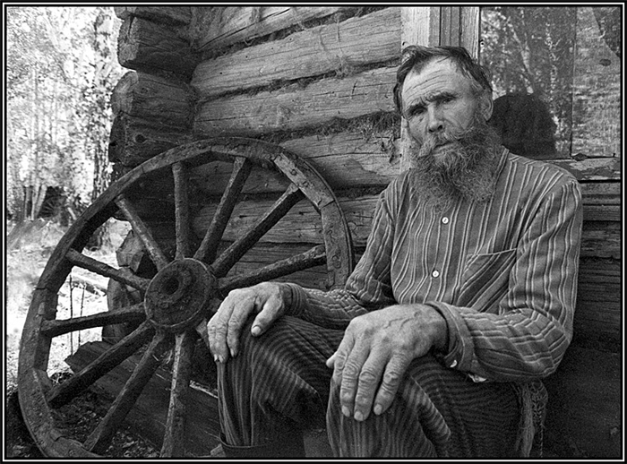 фото из сети.