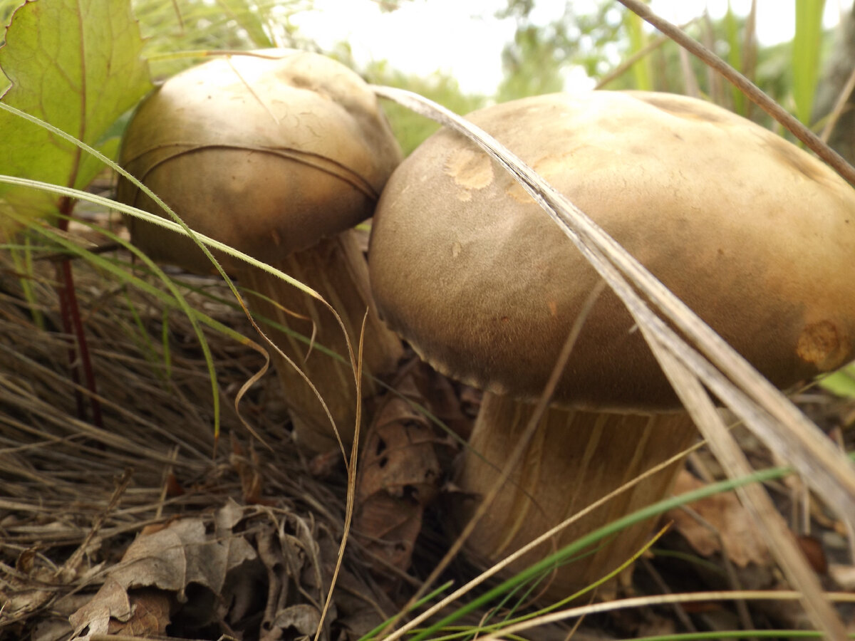 Фото из архива автора