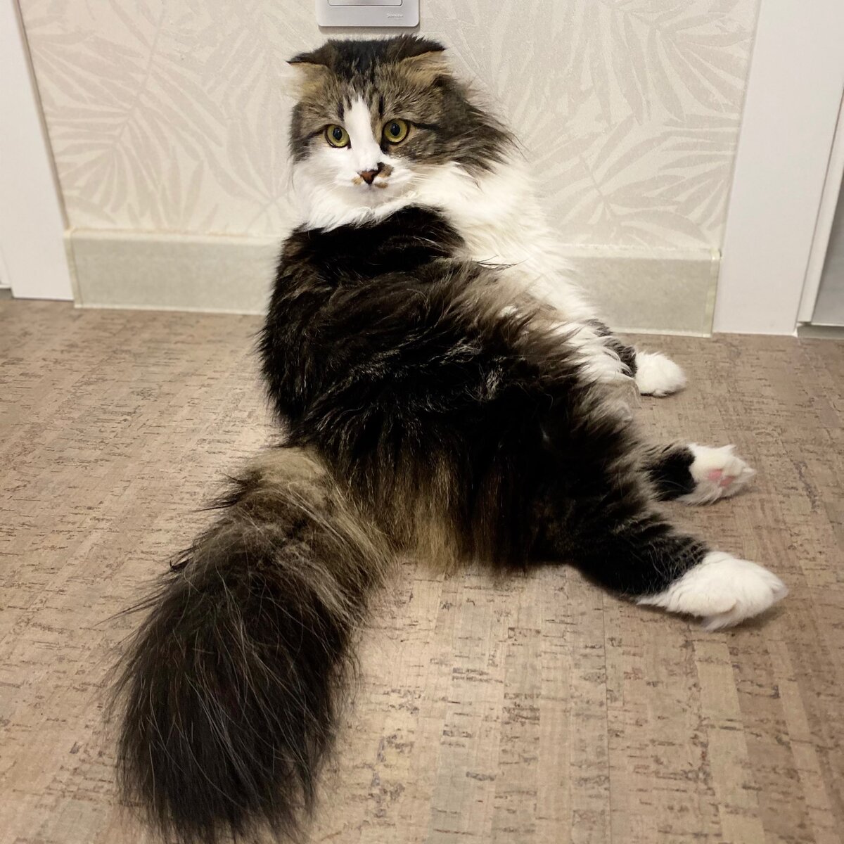 Не будете меня слушаться, я вам устрою подъем в 5 утра...