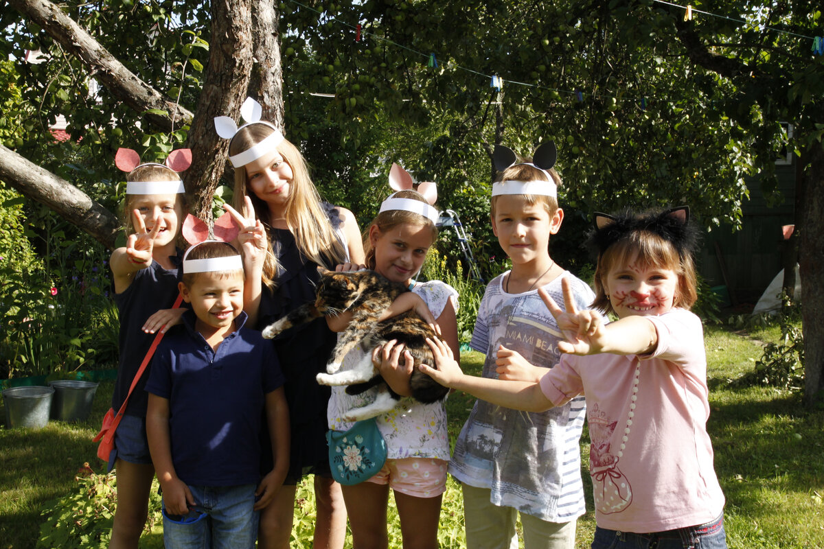 На кошачьей вечеринке. Фото автора