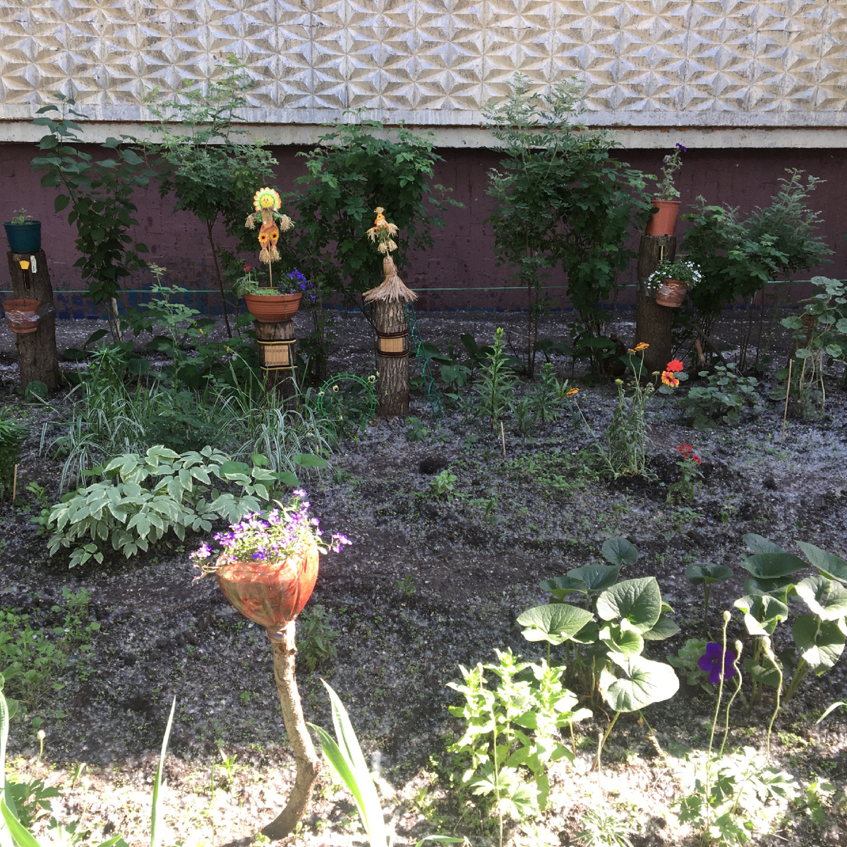 В соседнем дворе