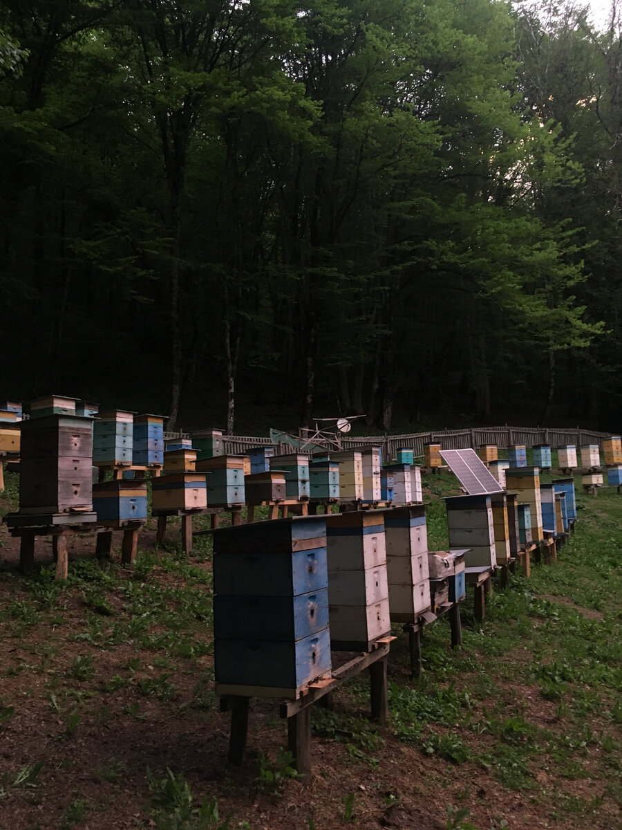 Фото из личного архива автора