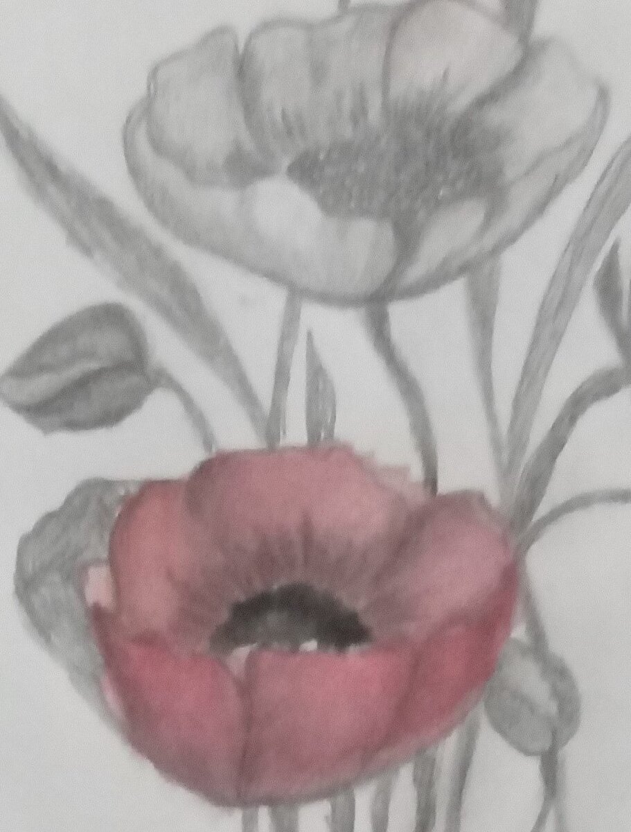                                                                        Рисунок автора.