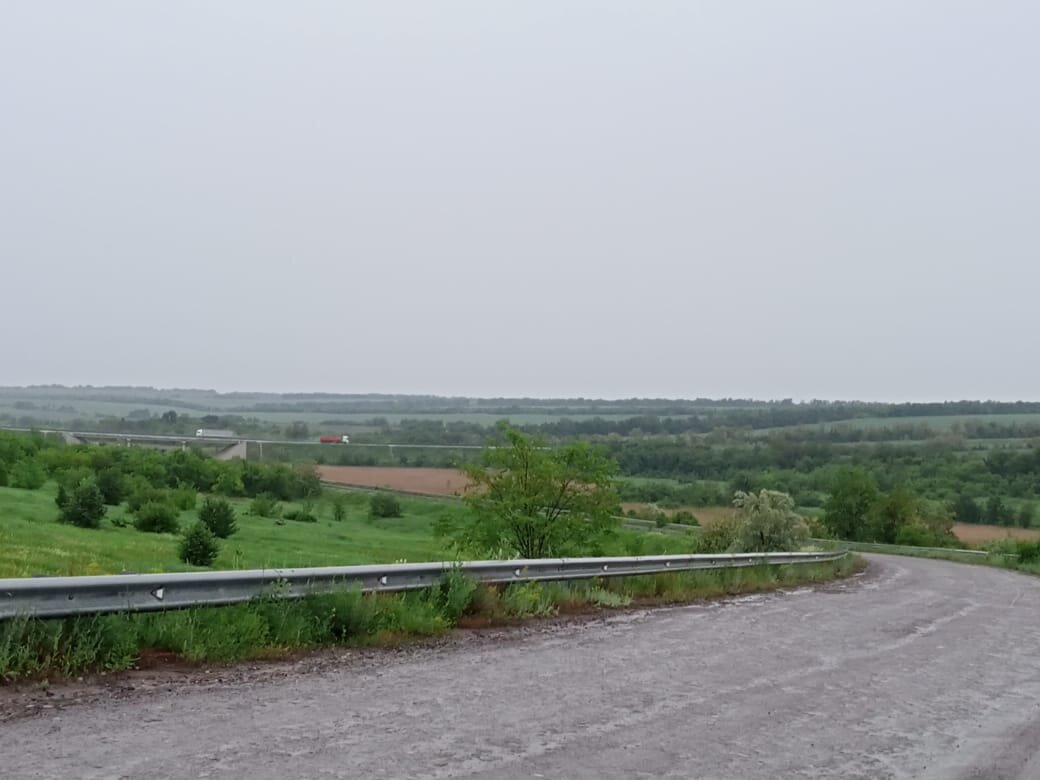    А эта дорога ведет на трассу