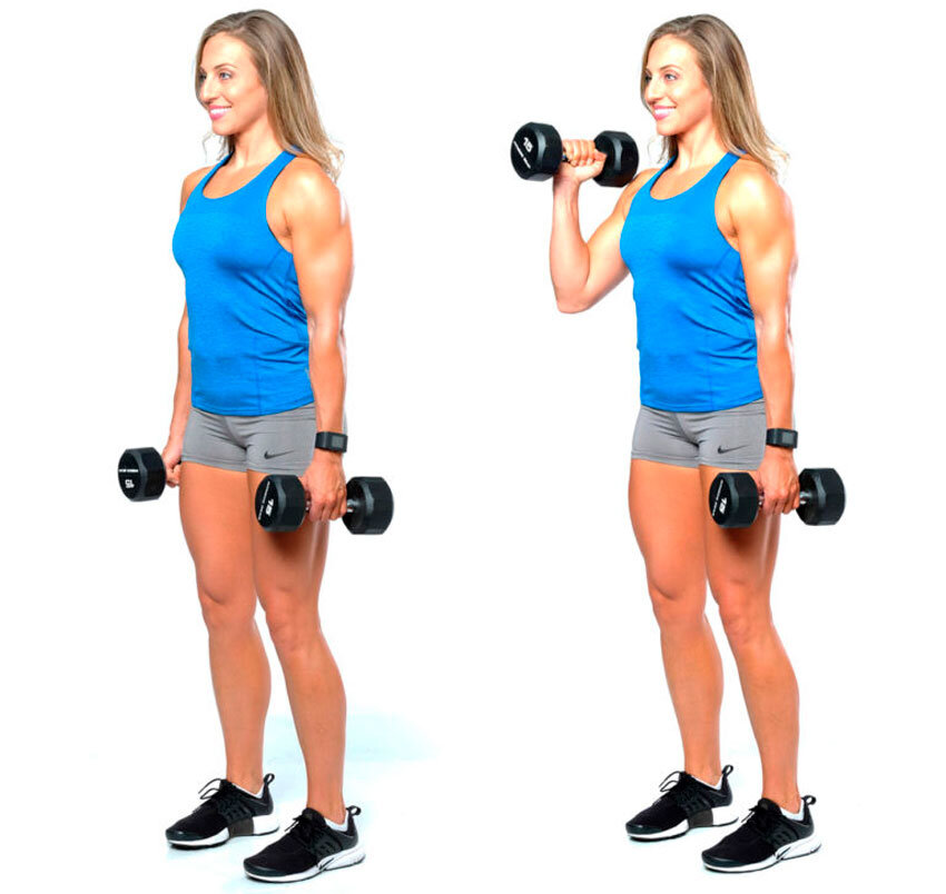 Seated Incline Dumbbell Curl